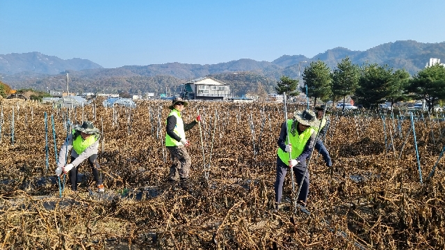 농협경제지주, 가을철 농촌 일손돕기 ‘구슬땀’ 대표 이미지
