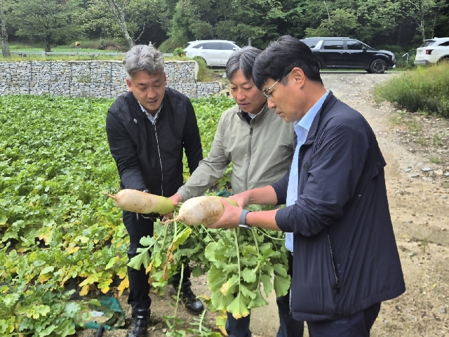 농협경제지주, 추석 앞두고 농축산물 수급 안정 점검 대표 이미지